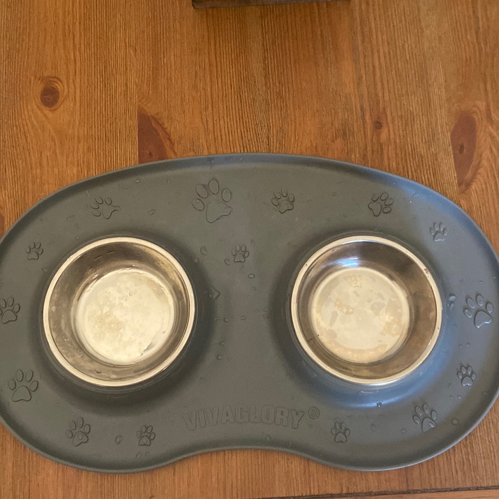 Small dog or cat food bowl set